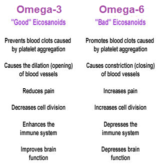 effects of eicosanoids derived from omega-3 and-omega-6 fatty acids