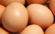 eggs are rich in sulfur