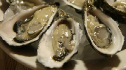 oysters are rich in zinc
