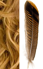 s-s-bindings give strength to hairs and feathers