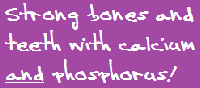 strong bones and teeth with calcium and phosphorus