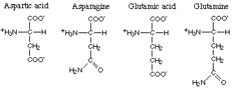 acid or amide amino acids