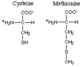 amino acids with sulfur