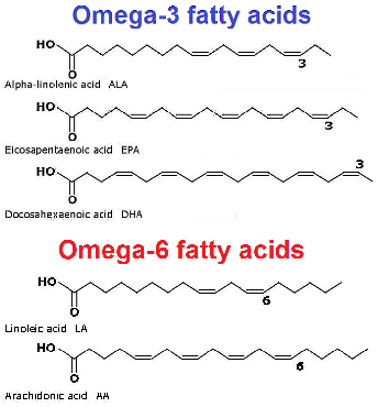 omega-3 and omega-6 fatty acids
